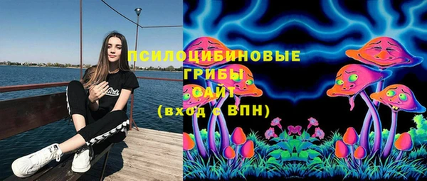 винт Алзамай