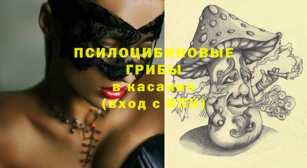 стаф Абинск