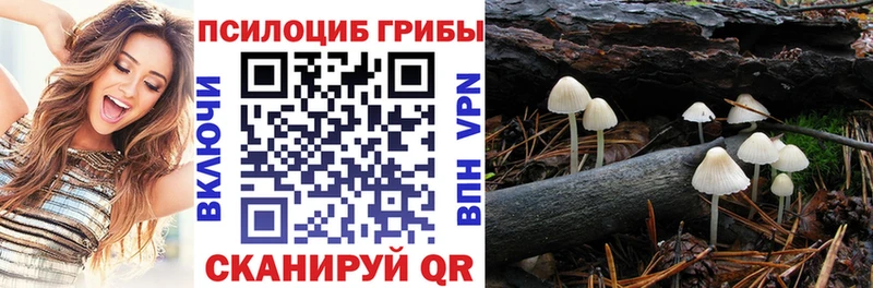 где можно купить наркотик  Гаджиево  Галлюциногенные грибы GOLDEN TEACHER 